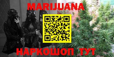 mdpv Славгород