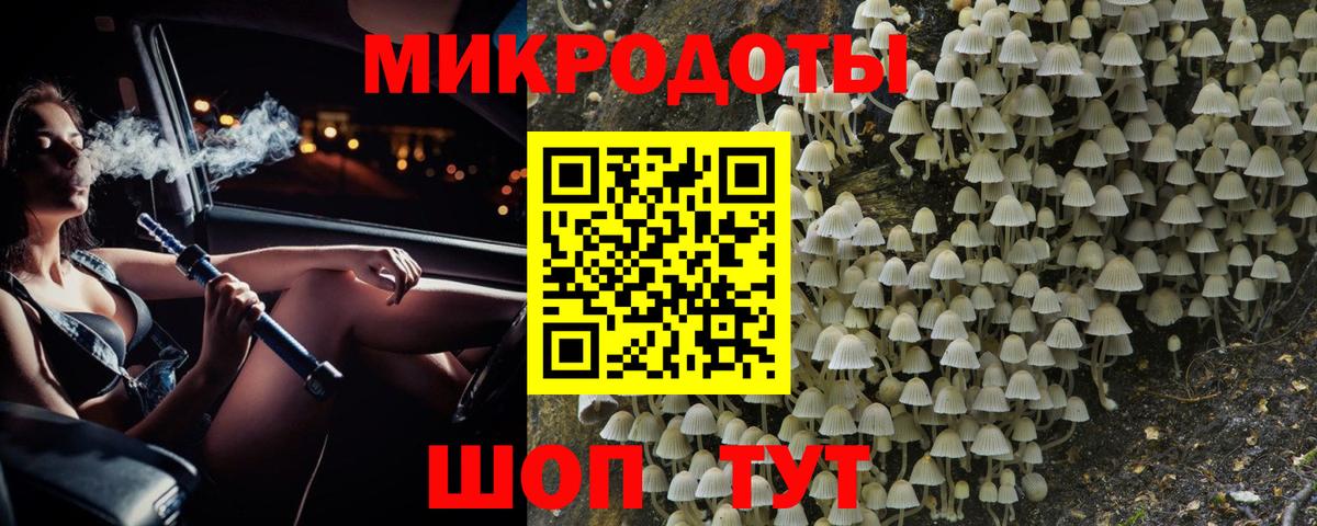 Галлюциногенные грибы Psilocybine cubensis Воскресенск